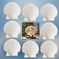 Coquilles de Saint-Jacques naturelles pour la peinture DIY et les projets créatifs - Coquille blanche naturelle / Lot de 25