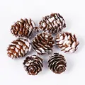 Natural Christmas pine cones with snow-tipped white paint for DIY crafts and decor - White-tipped Pine Cone / 3-4cm Size