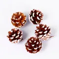 Natural pine cones with white snow tipped edges for Christmas DIY wreath decor set - White-tipped Pine Cone / 4-5cm Size