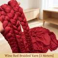 Large 3-meter wine red velvet braided rope hanging decoration for festive scene setup - Wine Red Braided Rope / 3 Meters / Burgundy