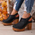 Stylish vintage hollow-out chunky heel platform mules for women with rustic autumn background - 36 / Black