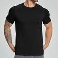 Black men's seamless quick-dry breathable sports t-shirt for fitness and hiking gym wear - S / Tops / Premium Black