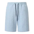 Herren-Shorts in Hellblau mit Jacquard-Struktur und praktischem Tunnelzug für die Freizeit. - S / Unterteile / Hellblau