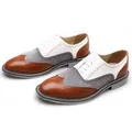 Vue détaillée des chaussures Brogue tricolores pour hommes avec motifs perforés - 39 / Marron Blanc et Gris
