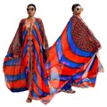 Gedetailleerd overzicht van een transparante chiffon gewaad met V-hals en luipaardprint voor dames - Tops / Blauw Rode Strepen