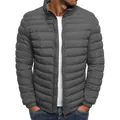 Detailed front view of a grey lightweight stand-collar puffer jacket for men with zipper - S / Tops / Gray