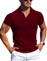 Close-up view of a men's wine red vertical striped V-neck polo shirt with a slim fit - S / Wine Red