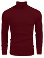 Gros plan d'un pull à col roulé bordeaux pour homme, coupe ajustée et texture côtelée. - Bordeaux