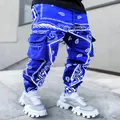 Macro view of men's blue paisley print cargo pants featuring street fashion - Sapphire Blue / M