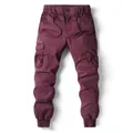 Men's burgundy cargo jogger pants with elastic drawstring waist and side pockets for casual wear - 29 / Bottoms / Burgundy