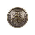 Vintage antique brass metal button featuring a lion crest and crown design for jackets - 15.0mm (24L) / Antique Bronze