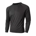 Professional slim fit men's round neck mesh long sleeve undershirt in black color - M / Tops / Black
