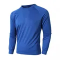 Blue slim-fit long-sleeved men's athletic shirt crafted from breathable mesh performance fabric - M / Tops / Blue