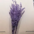Bouquet de Statice violet foncé séché pour décoration de mariage et loisirs créatifs - 120.00g / Violet