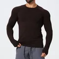 Men's slim fit seamless long sleeve sports t-shirt in dark brown - S / Tops / Dark Coffee