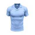 Detailansicht eines hellblauen Herren-Kurzarm-Poloshirts mit einem offenen klassischen Kragen. - Hellblau