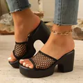 Detailed view of women's black mesh woven platform block heel slippers on a sandy background - Black