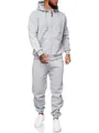 Men's slim-fit grey zip-up hooded tracksuit with fleece lining for casual sport - 2XL / Top And Bottom / Light Gray
