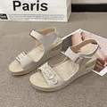 Elegant light grey wedge sandals featuring gold buckle straps and stylish stud detailing - 36 / Gray