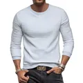 Detailed macro view of men's slim-fit waffle knit long-sleeved crewneck t-shirt texture - S / Tops / White
