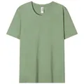 Detailed view of a plain sage green men's cotton T-shirt with a classic round neck - Fruit Green