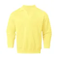 Vue détaillée d'un sweat-shirt polo jaune clair pour homme avec col en V classique - S / Hauts / Jaune