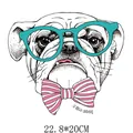 Cute cartoon bulldog heat transfer vinyl sticker for clothing iron on decal 22.8x20cm - 22.8x20cm / Cool Bulldog (DH0523)