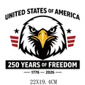 USA 250th Anniversary bald eagle heat transfer sticker decal, 22x19.4cm size detail - Striped Eagle Illustration Style (DS1287)