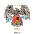 Adler Illustration mit US-Flagge Schleife DIY Wärmeübertragung Patch Aufkleber 6x6cm - 6x6cm