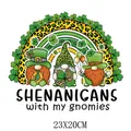 St. Patrick's Day gnome and leopard rainbow heat transfer vinyl patch, 23x20cm size. - Shenanigans Gnome Squad Pattern (DF0142)