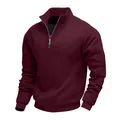 Detail of the silver half-zip collar on a men's burgundy fleece-lined sweatshirt - S / Tops / Burgundy