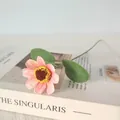 Gros plan d'une fleur de camomille artificielle rose vintage posée sur la couverture d'un livre. - Rose