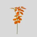 Detailaufnahme künstlicher orangefarbener Blätter mit realistischer Gradiententextur - Alocasia Blatt / Orange