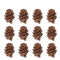 Juego de 12 mini piñas naturales para decoración de árboles de Navidad y manualidades DIY. - Piñas naturales / Juego de 12 / Marrón