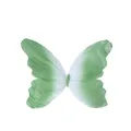 Detalle que muestra la textura de la mariposa de papel crepé verde para decoración - 30cm / Verde