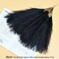 Realistic black artificial pampas grass plumes for minimalist home wedding decor - Black
