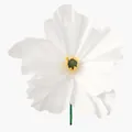 Textura detallada de una flor de amapola de papel crepé blanco hecha a mano para decorar - Blanco (Cabeza de Flor 60cm) / 60CM / Blanco