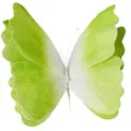 Elegante mariposa de gasa degradada verde y blanca con cuerpo de perlas para boda - Verde Degradado
