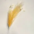 Detailed view of artificial cream yellow pampas grass for wedding flower decoration - Orange