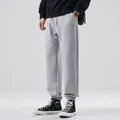 Stylish grey fleece-lined men's joggers featuring elastic cuffs and drawstring waist for winter - M / Unlined / Light Gray