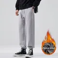 Men's American style grey fleece-lined joggers with elastic cuffs for winter warmth. - M / Fleece Lined / Light Gray