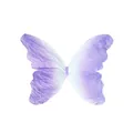 Detalle de mariposa de papel degradado púrpura para decoración de pared primaveral - Púrpura