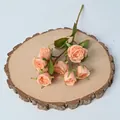 8-head artificial rose spray in champagne with burnt edge petals - Orange