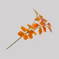 Gros plan détaillé de branche de feuilles artificielles orange pour décoration - Alocasia Style (Orange) / Orange Alocasia Leaf