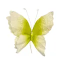 Detailed view of a 3D handcrafted gradient paper butterfly with wrinkled texture. - Gradient Green