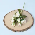 8-head cream artificial rose spray with oil painting burnt edges for home decor - Milk White