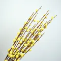 Close-up of yellow simulation pussy willow branches with natural textures and brown stems - 110cm / Yellow