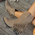 Primer plano detallado de botines de ante taupe con flecos, punta fina y tacón ancho - 36 / Caqui