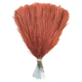 Premium artificial pampas grass in burnt orange for boho wedding and minimalist home decor - Light Coffee