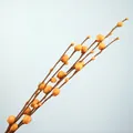 Close-up detail of orange artificial pussy willow branches on light blue background - 110cm / Orange
